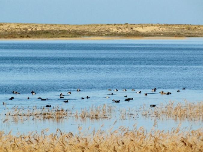 La Gallega Valdoviño Eksteriør bilde